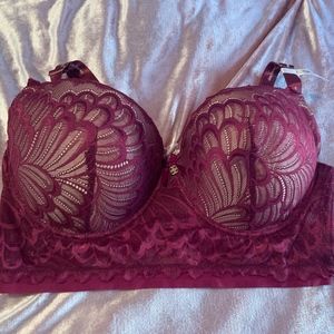 Daisy Fuentes Bra Sz.42d